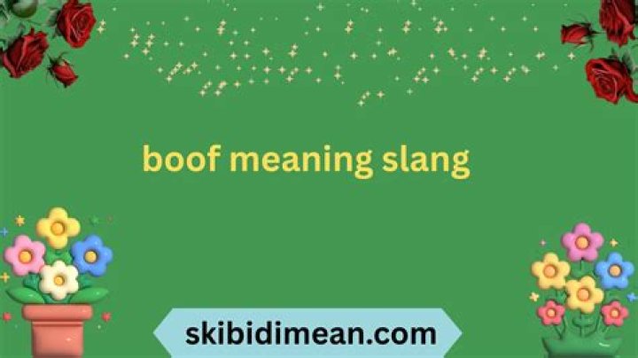 
Internet Slang ‘Boof’ Meaning In Urban Dictionary- Use On Text And Snapchat 