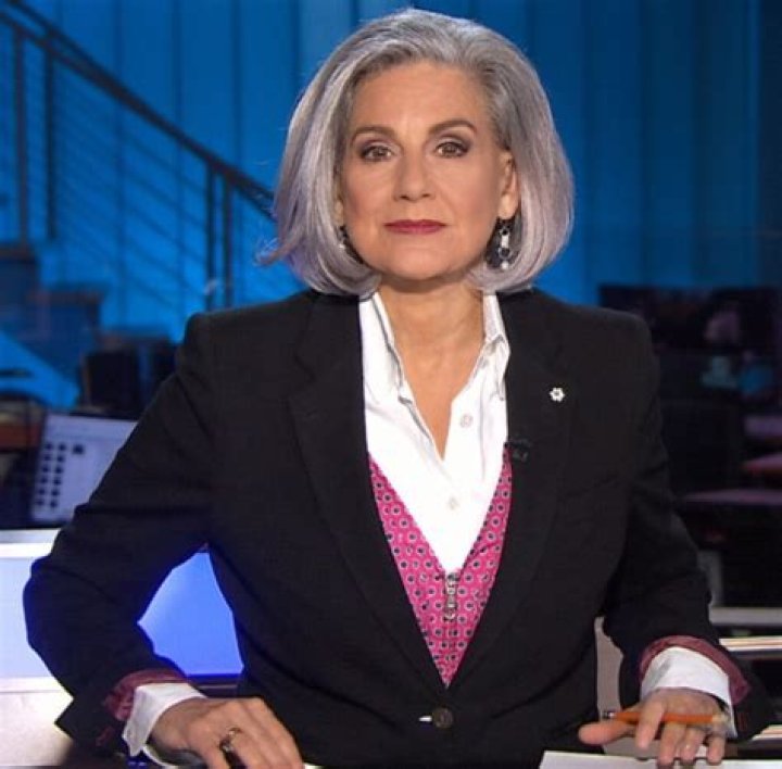 
Lisa LaFlamme Height, Weight, Net Worth, Age, Birthday, Wikipedia, Who, Nationality, Biography 